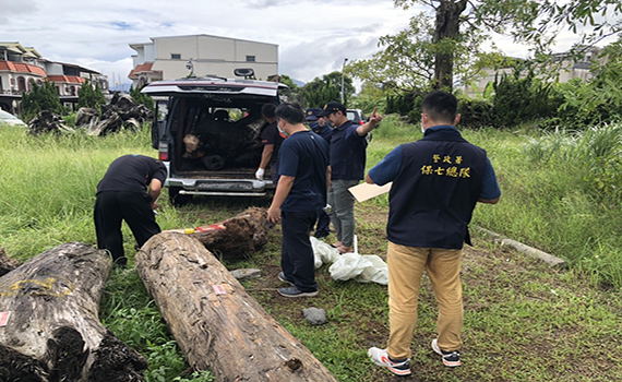 山老鼠趁隙撿拾貴重漂流木 保七警遠端監控人贓俱獲 