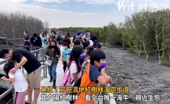 影/暴紅!芳苑濕地紅樹林海空步道 親子探索海空保安林