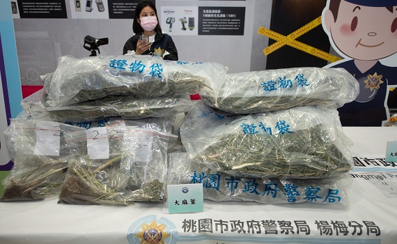杜絕毒品!楊梅警分局溯源5層偵破大麻案阻絕毒品流入市面