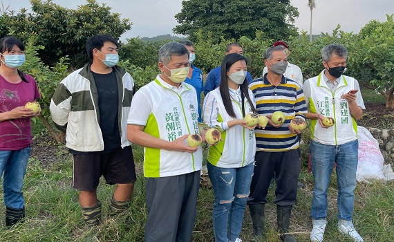 古坑芭樂災害救助引不滿 劉建國要求重啟認定八成獲補助