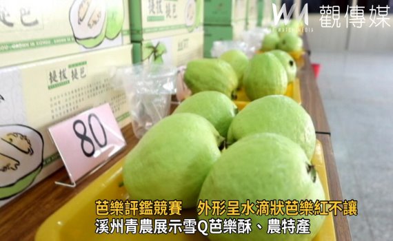 影/彰化縣芭樂評鑑競賽 外形呈水滴狀珍珠芭樂紅不讓