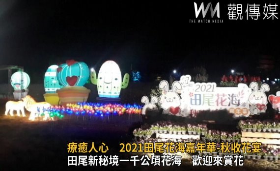 影/療癒人心 2021田尾花海嘉年華-秋收花宴 歡迎來賞花
