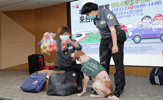 毛孩不用顧家 ! 台南動保宣導活動13日登場