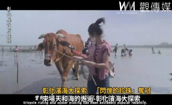 影/來場天和海的邂逅-彰化濱海大探索 「閃爍的珍珠」奪冠