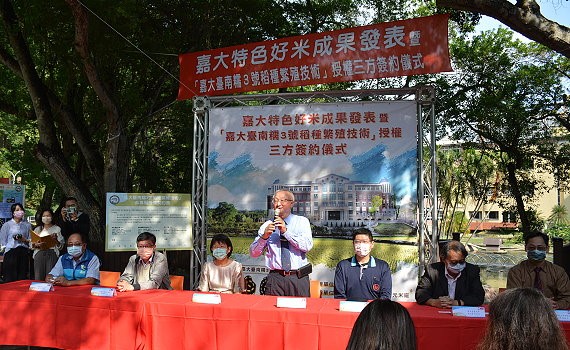 水稻香糯新品種 嘉大臺南糯3號加工與鮮食兼用