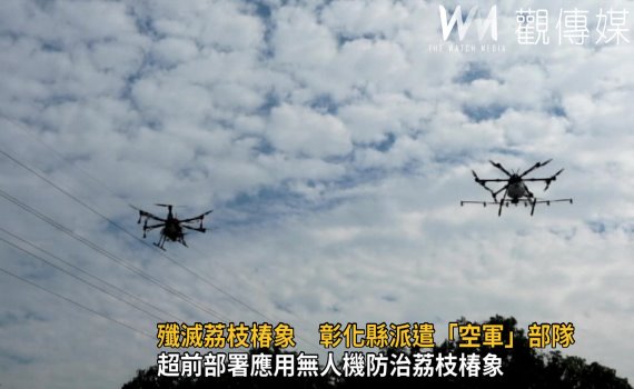 影/殲滅荔枝椿象 彰化縣派遣「空軍」部隊噴灑皂素