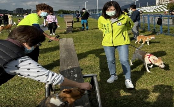 鼓勵認養代替購買 新北議員李倩萍辦萌寵嘉年華活動