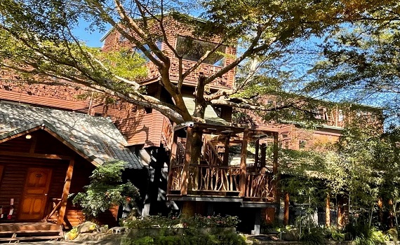 埔里牛耳石雕藝術公園 雕之森樹屋餐廳推出聖誕特餐