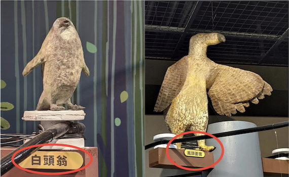獨/台南兒童科學館展出「超獵奇」生物? 網友驚呆了