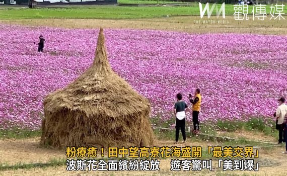 影/粉療癒!田中伯朗大道 望高寮花海盛開「最美交界」