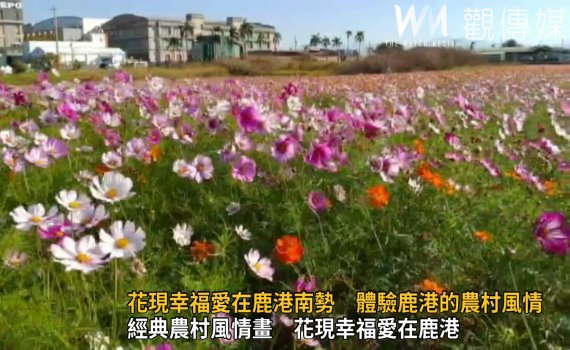 影/花現幸福愛在鹿港 南勢社區體驗農村風情