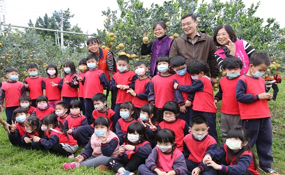 茂谷柑盛產季幼童生態教學 斗六千名學童認識家鄉特產