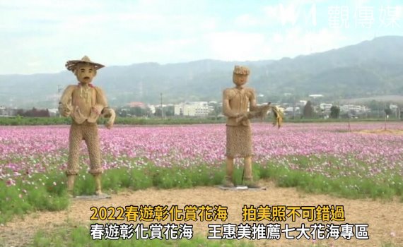 影/彰化七大賞花區曝光 春遊賞花海拍美照不可錯過