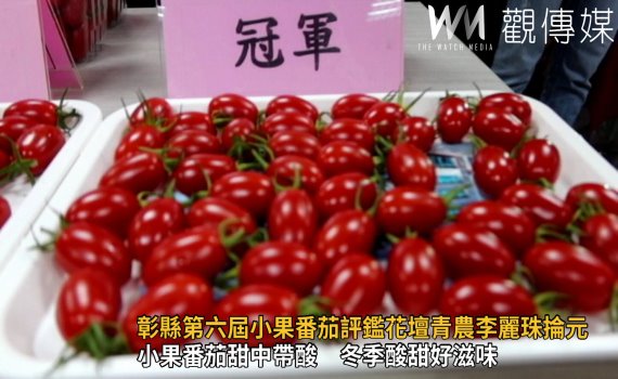 影/甜蜜收獲 彰縣第六屆小果番茄評鑑花壇青農李麗珠掄元