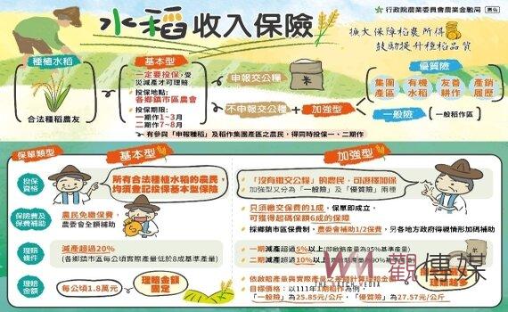 桃園落實水稻收入保險費全額補助 農業局籲農友31日前農會投保 