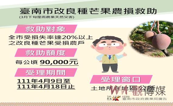 台南芒果雨害災損現金救助申請 4月9日開始受理