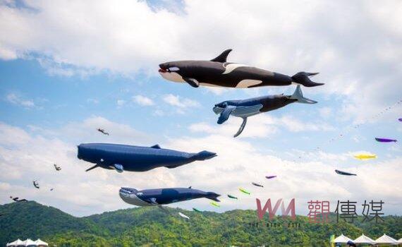 2022桃園國際風箏節壯觀登場 30餘隻大型鯨群風箏飛天齊「泳」
