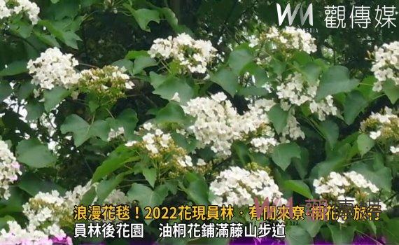 影/浪漫花毯!2022花現員林•有閒來尞-桐花小旅行