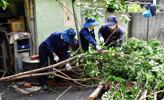 防颱超前布署　鹿港志工幫案家修剪大樹給一個安穩居住的家 
