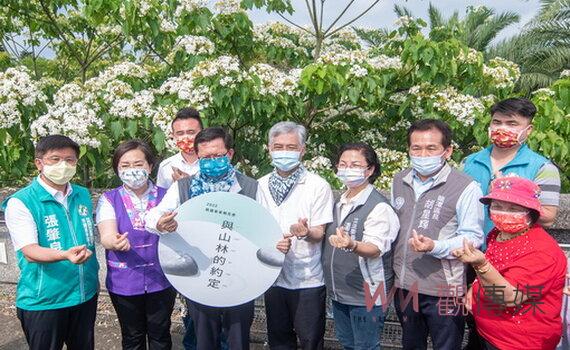 桃園客家桐花祭浪漫開幕　邀市民走入山林觀賞皚皚桐花之美 