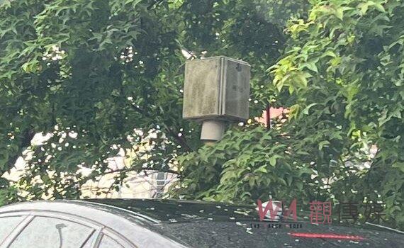 桃園測速照相桿變身「稻草人」?