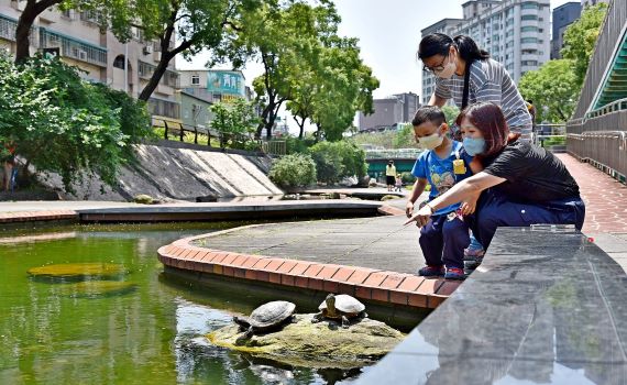 新莊塭仔底濕地公園滯洪池換新貌 都市生態後花園