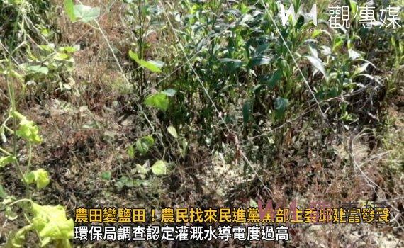 影/農田變鹽田!豌豆、四季豆都枯萎 農民找來民進黨黨部主委邱建富發聲