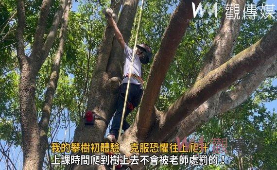 影/香田國小鼓勵你爬樹 我的攀樹初體驗 克服恐懼往上爬升