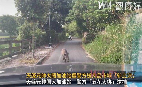 影/天篷元帥大鬧加油站遭警方圍捕送肉品市場「斬立決」