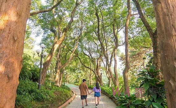 溫馨5月帶著女神們走出戶外 劍湖山世界盡情「森」呼吸