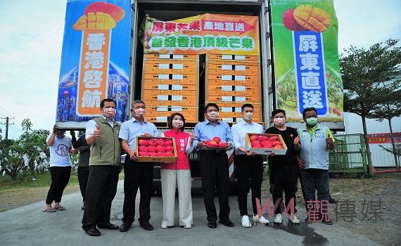 屏東成立愛文芒果收寄場 頂級規格芒果擄獲香港訂單
