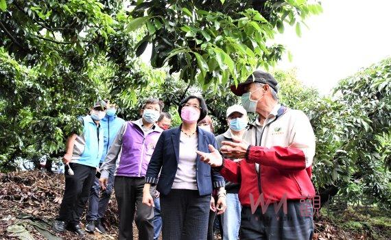 農委會公告彰化縣辦理荔枝、龍眼、西瓜現金救助