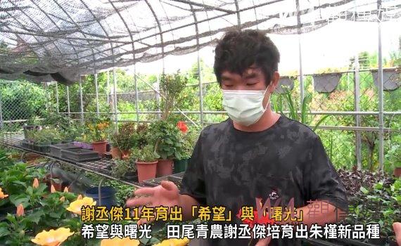 影/「燈籃仔花」充滿溫度的故事 謝丞傑11年育出「希望」與「曙光」