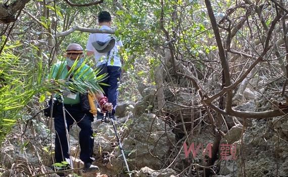 高雄柴壽山號稱「都市之肺」　民嘆：山區多處《通訊之廢》僅剩拍照功能 