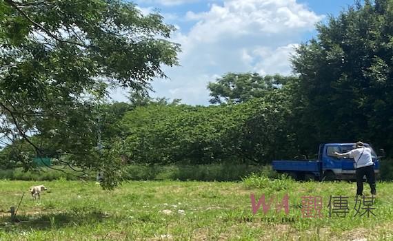 台南公私協力捕流浪犬 許崇洲出錢出力不居功