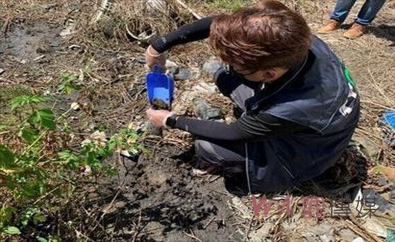 桃園觀音區廢水污染農地 環保局端午連假逮獲元凶重罰