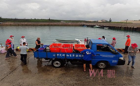 世界海洋日跨界合作護海洋 黑䱛幼苗全球首例繁殖成功首放澎湖海域