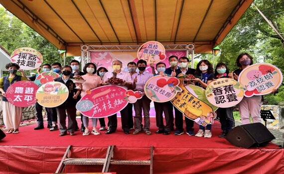 太平艷紅荔枝正香甜! 中市農業局邀民共享「荔枝採果趣」