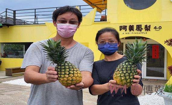 神農級玉蘭花鳯梨  產季鮮嚐花香撲鼻 