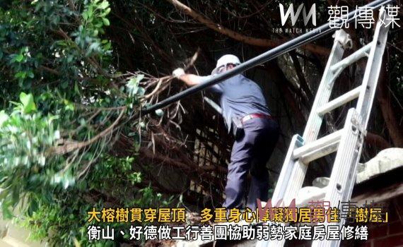 影/大榕樹貫穿屋頂上 多重身心障礙獨居男住「樹屋」
