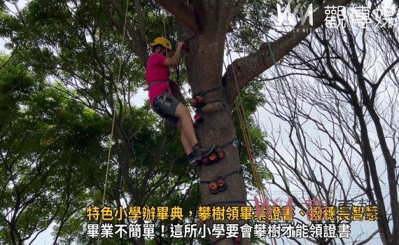 影/另類畢典!特色小學辦畢典,攀樹領畢業證書、撥穗長智慧