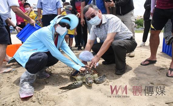 「世界海龜日」澎湖縣政府農漁局野放11隻傷癒海龜 