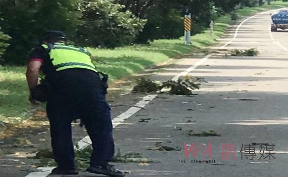 樹枝掉落阻交通　北港巡邏員警及時清理與通報 
