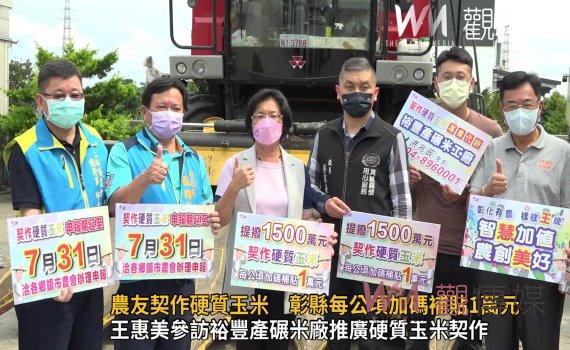 影/因應稻作四選三政策 農友契作硬質玉米 彰縣每公頃加碼補貼1萬元