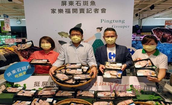 屏東石斑家樂福搶鮮上架　美味鮮魚帶回家輕鬆料理 