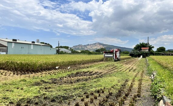 中市1期作稻草剪段翻耕補助 即日起至7/31開放申請 