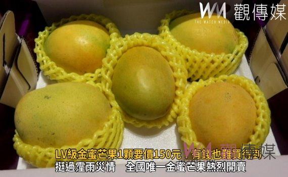 影/LV級金蜜芒果天候重創減產八成 吃1顆要價150元!有錢也難買得到