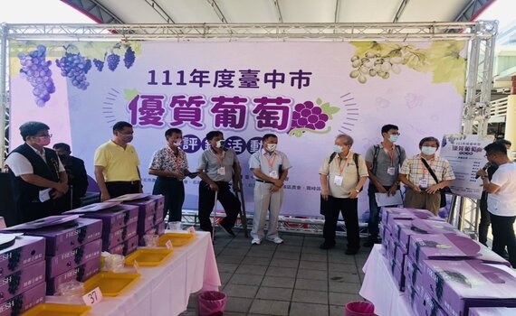 中市優質葡萄評鑑揭曉 李明浚勇奪巨峰葡萄達人