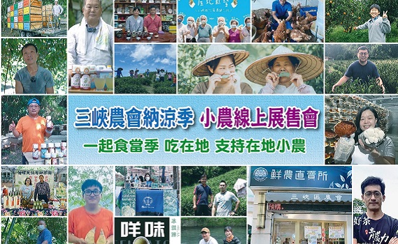 納涼三寶「茶、筍、蜜」直接跟小農買 !線上展售會限量優惠中