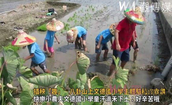 影/夏日樂學插秧「趣」 八卦山上文德國小學生體驗稻作食農